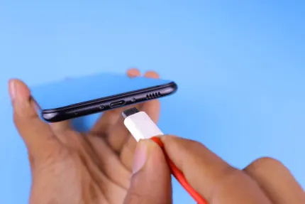 Casino Mobile Wins Mobile App